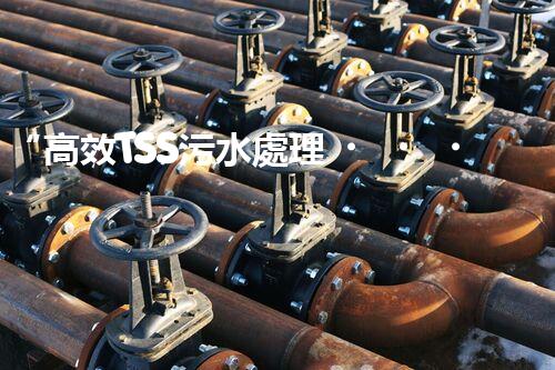 “高效TSS污水處理，守護(hù)碧水藍(lán)天新篇章”